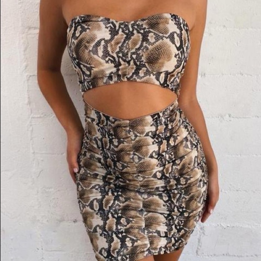 Tiger Mist Brown and Tan Reptile Print Dress